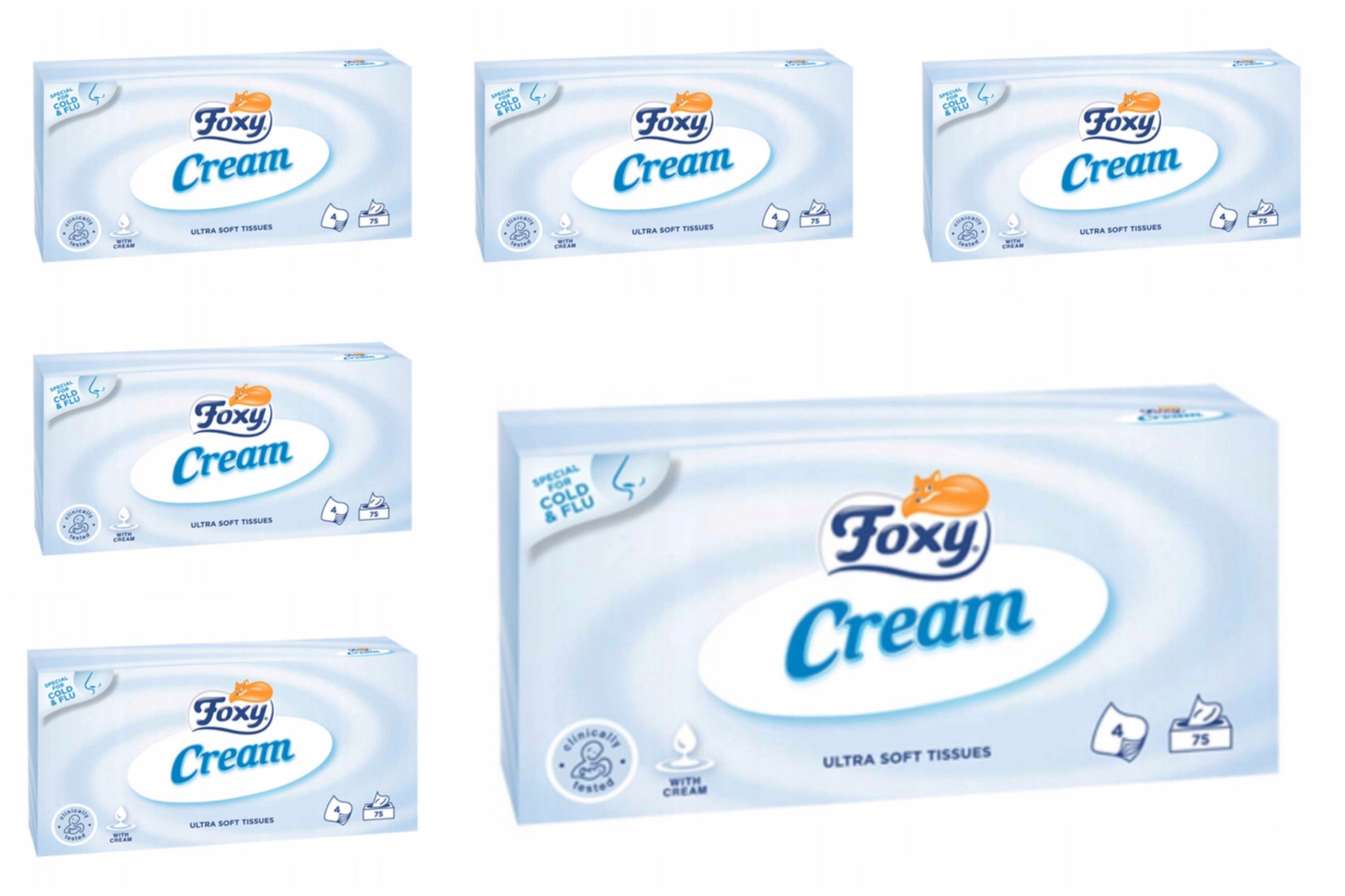 

Zestaw Chusteczki higieniczne Foxy cream 76x 6