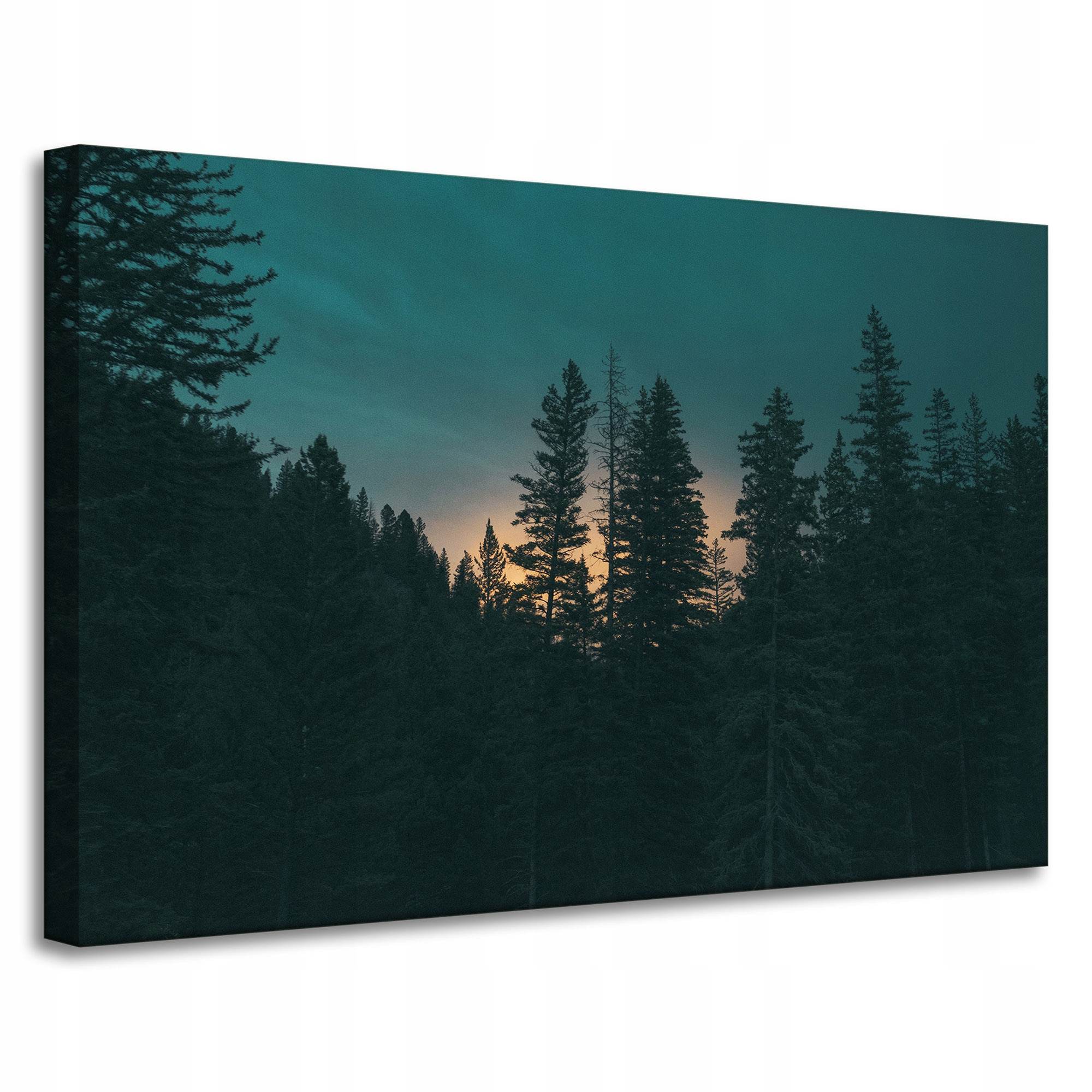 Obraz na plátně Příroda Les za soumraku Noc 90x60 cm
