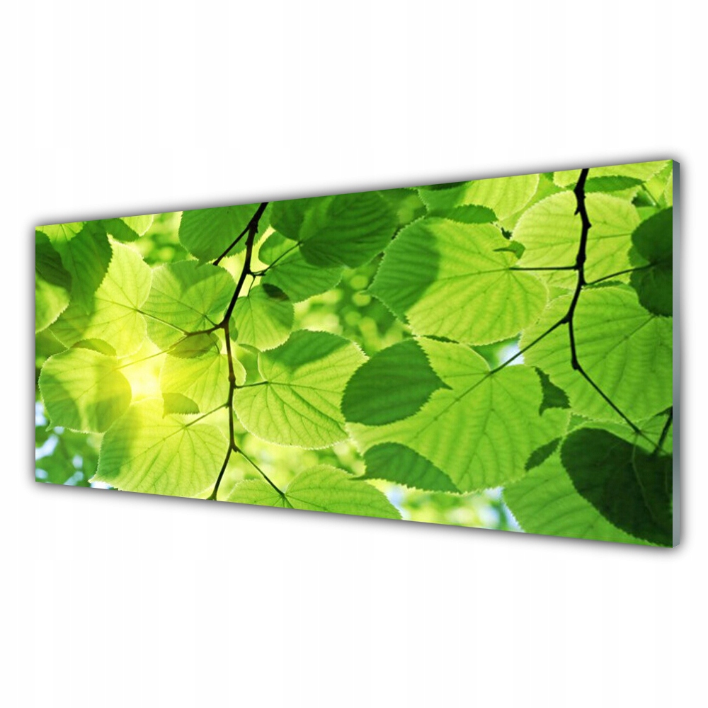 

Fotoobraz na prezent 125x50 Liście Natura Roślina