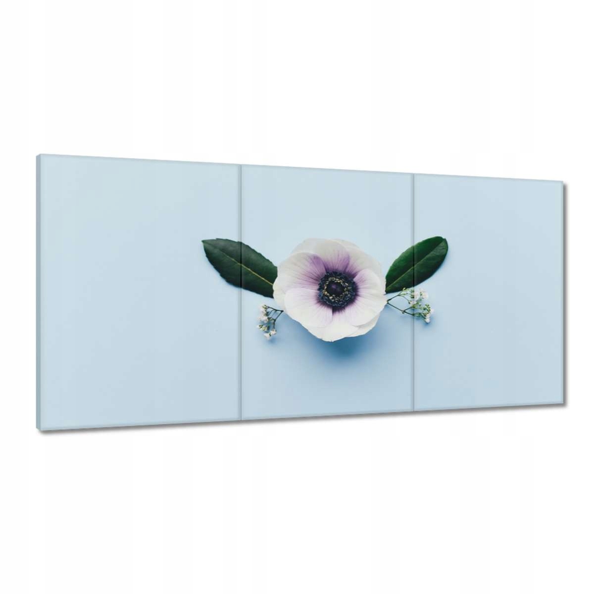 Obrazy 120x60 Maková květina