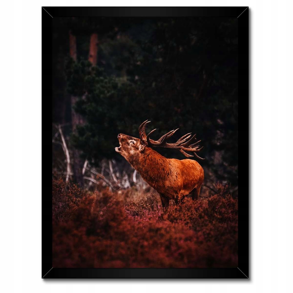Plakáty v rámu 30x40 Jelen na rykovisku Les
