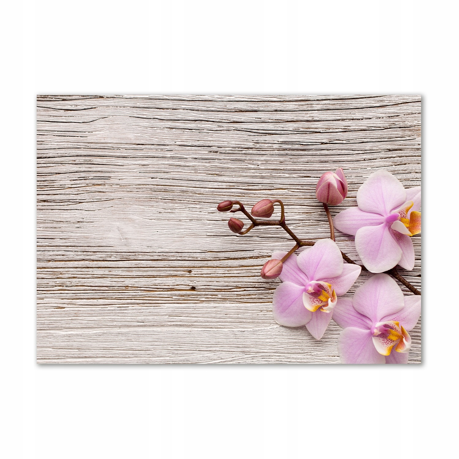 

Foto obraz szklany Orchidea na drewnie 100x70