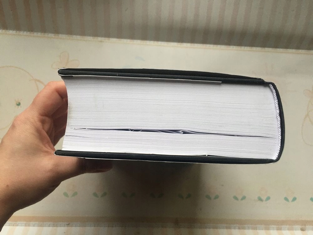 Peanatema Stephenson Neal MAG Język publikacji polski