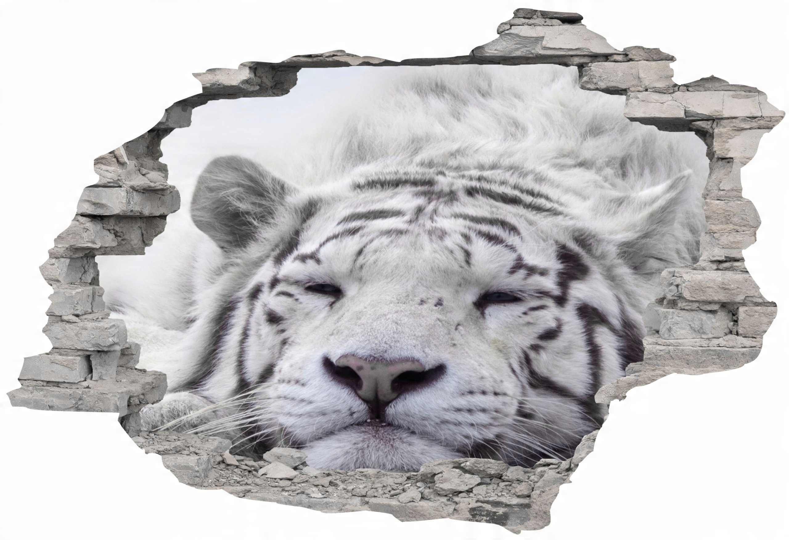 

Naklejki 3D fototapeta Cegła Z Widokiem 160 x 110
