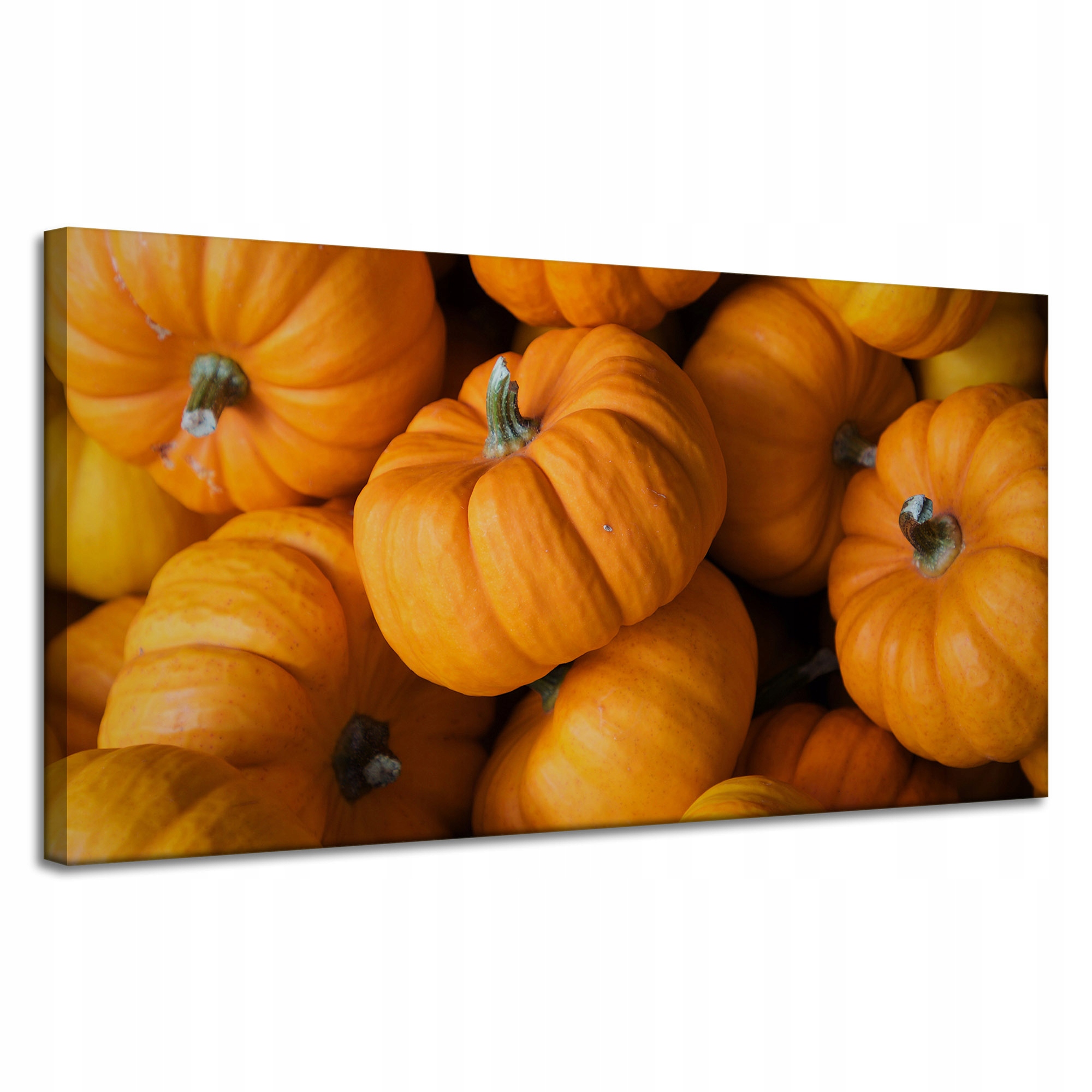 Obraz Canvas Kuchyně Dýně na plátně 120x60 cm