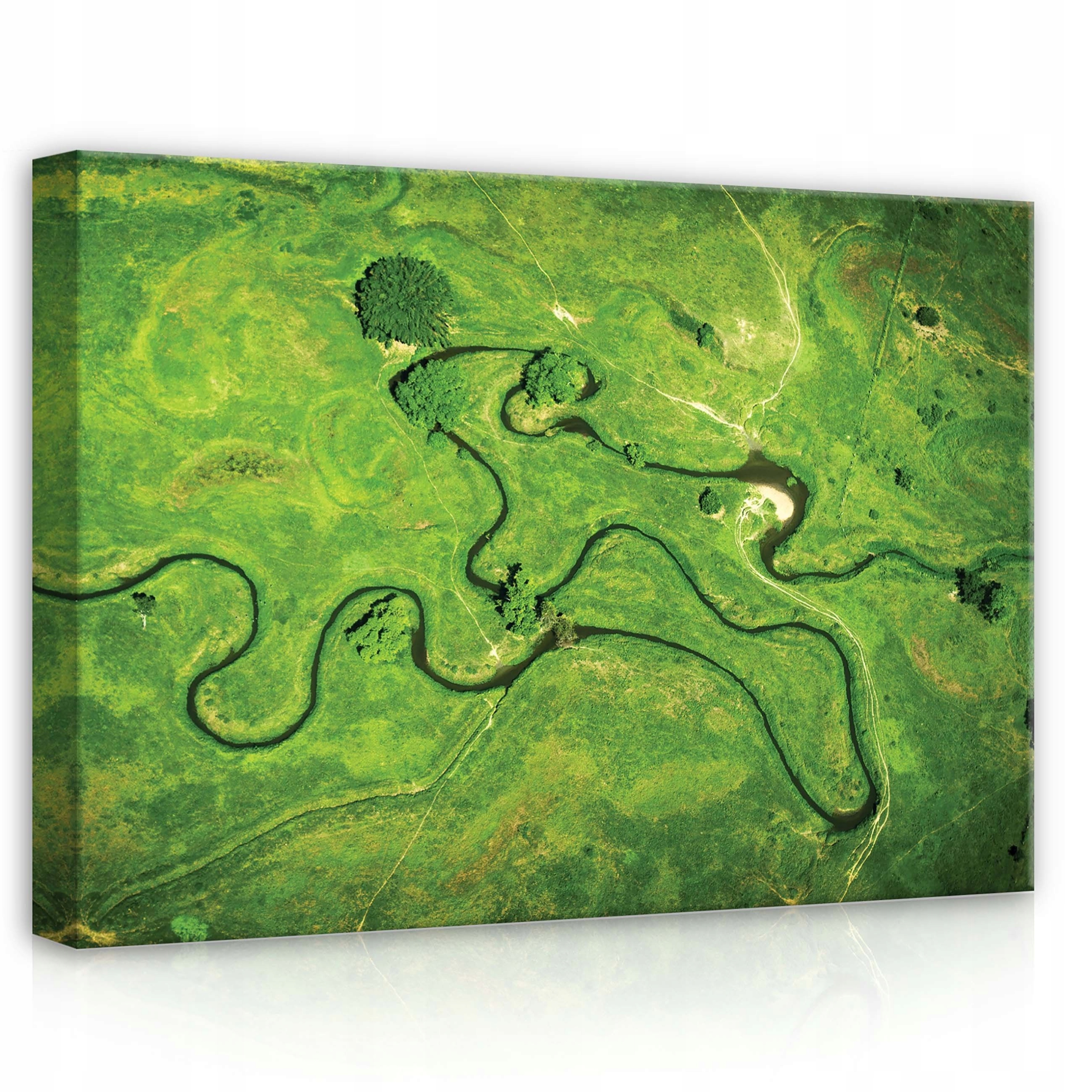 Obraz 70x50 Křivá řeka zelená krajina pohled shora příroda klid