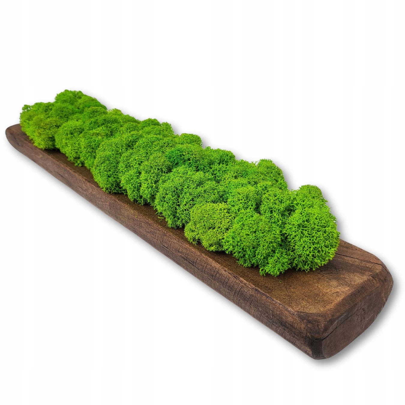 Drewniana doniczka z naturalnym mchem chrobotkiem