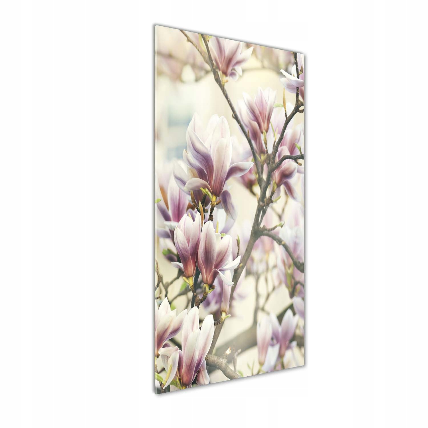 

Foto-obraz szkło hartowane Magnolia 50x125 cm