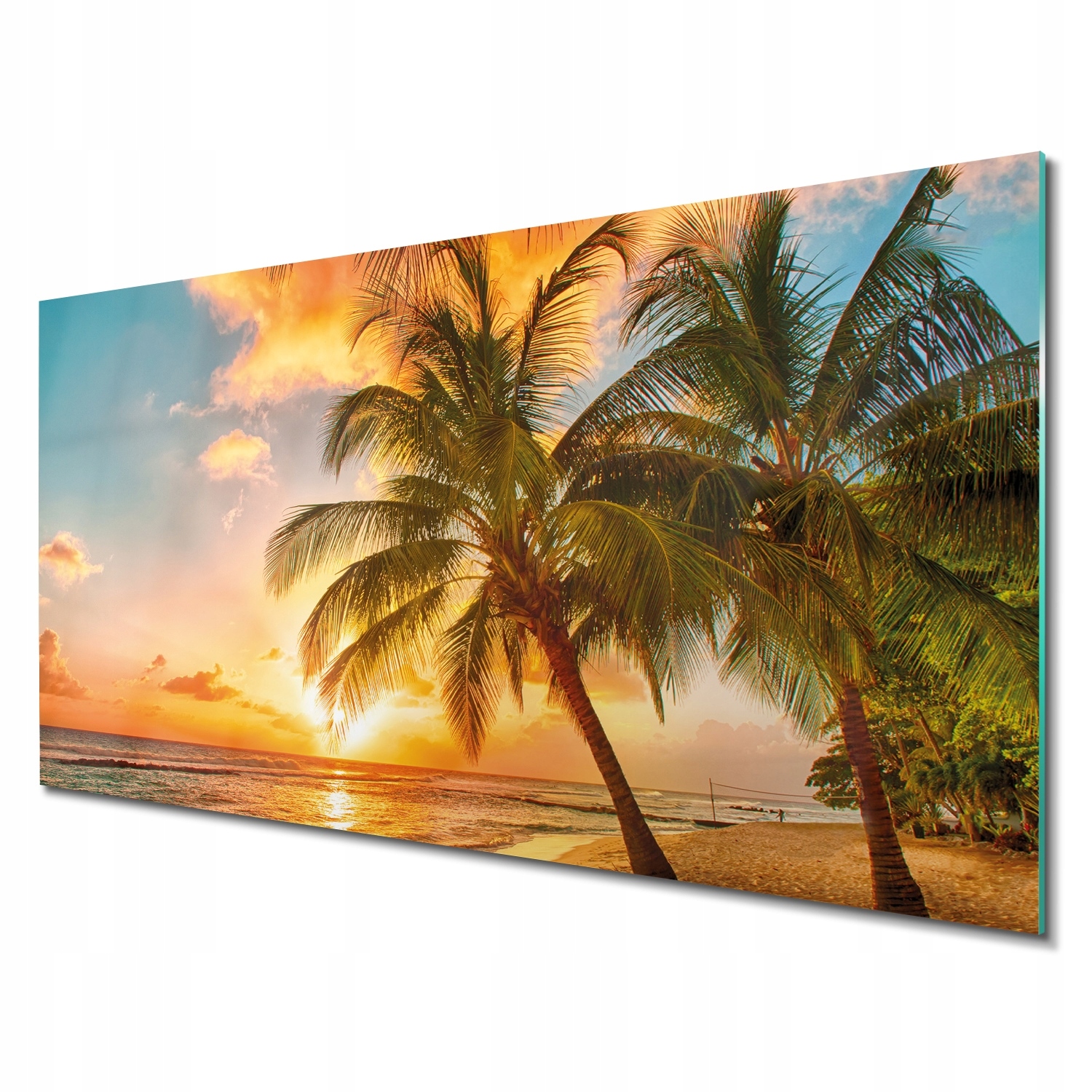 

Foto szklane ścienne Palmy plaża morze 140x70