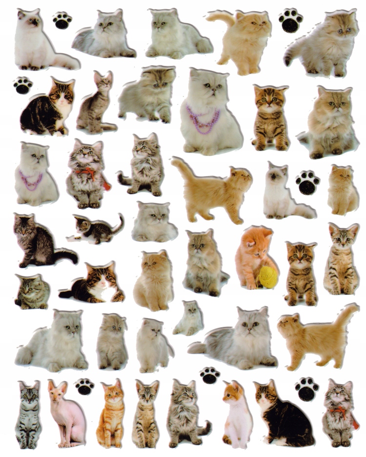 

Naklejki motywacyjne 3D samoprzylepne koty kotki