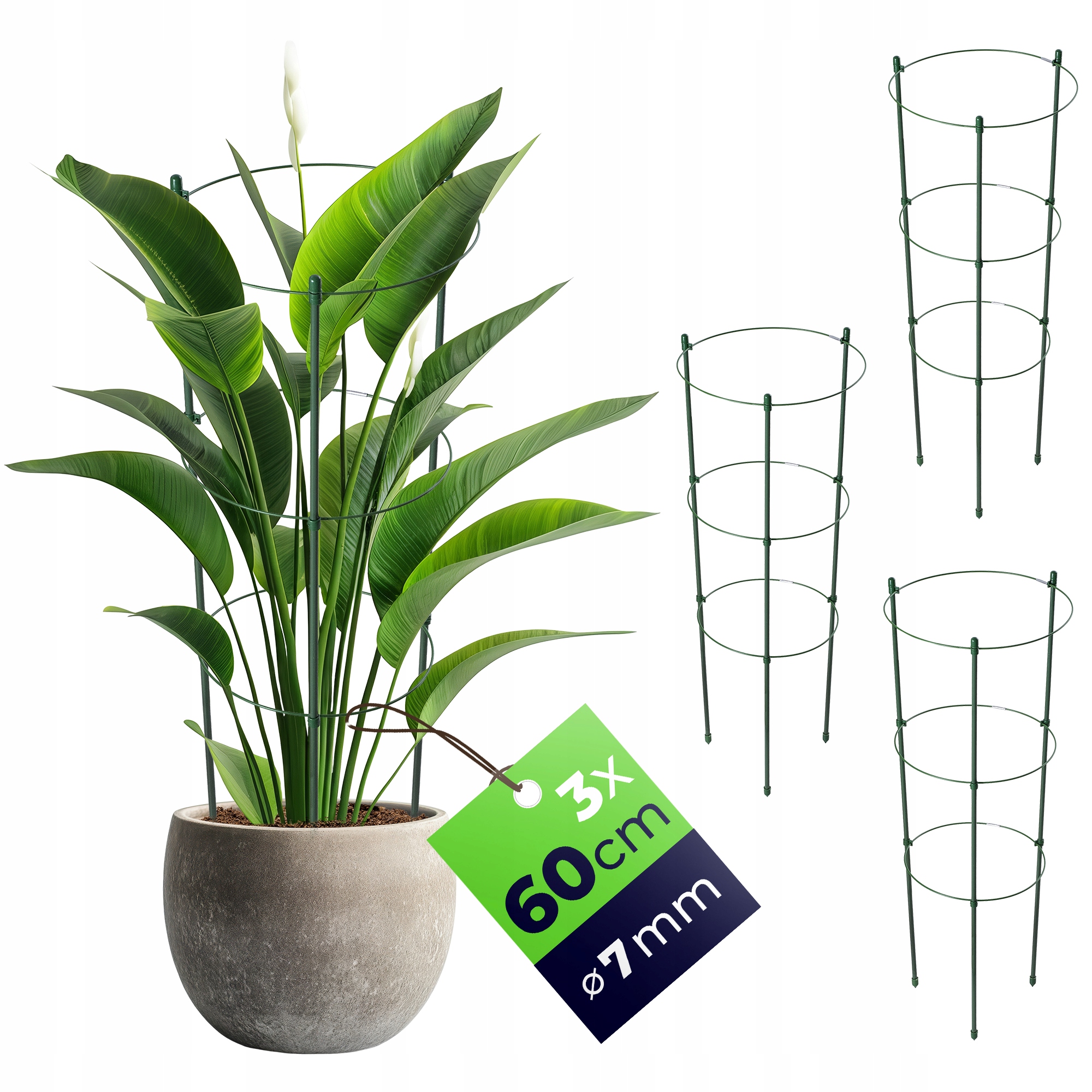 PODPORA PIERŚCIENIOWA DO ROŚLIN KWIATÓW 60cm METALOWA PODPÓRKA OBRĘCZE 3szt