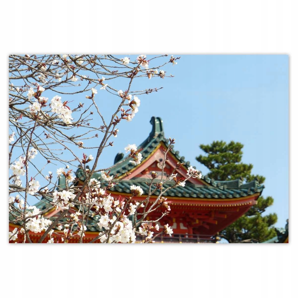 Plakáty 200x135 Kvetoucí višeň v Japonsku