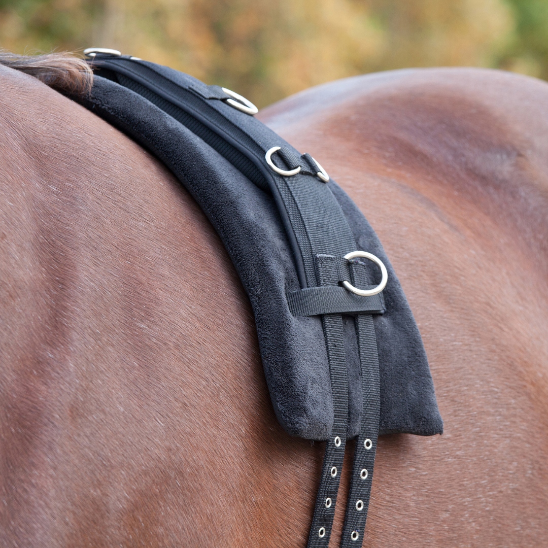 Podložka pod pás pro lonžování – Waldhausen Memory Foam Surcingle Pad Pony