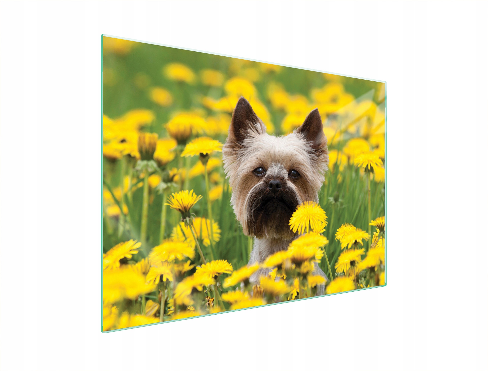 Ochranná Skleněná Deska Na Sporák 70x52 Pes Tvrzené Sklo