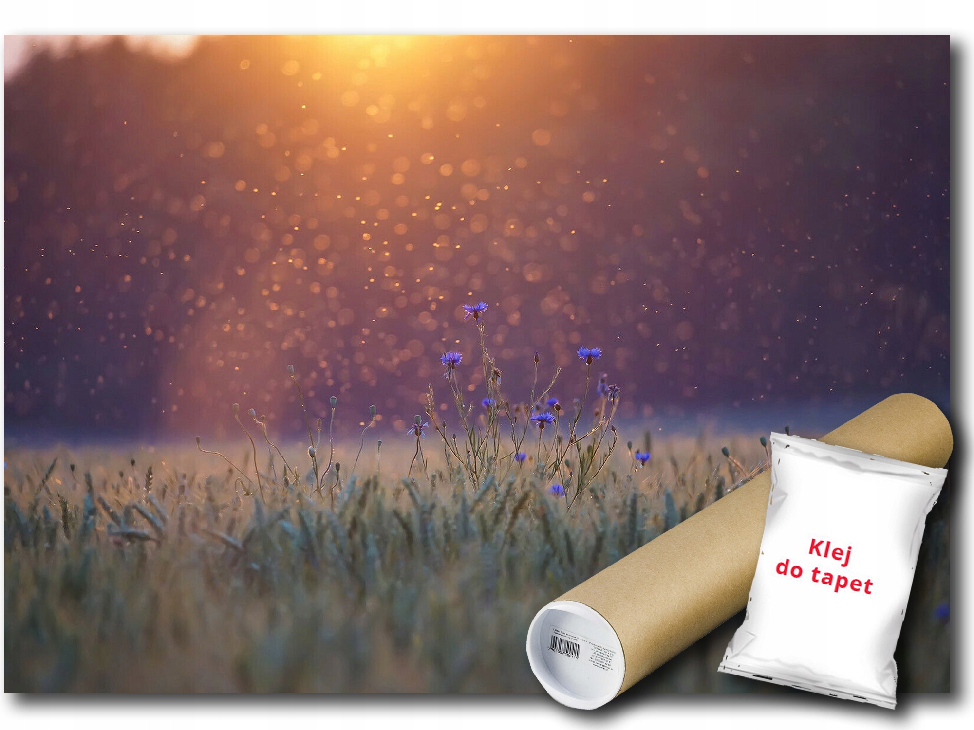 Fototapeta Vliesová Louka Květy Pole 312x219