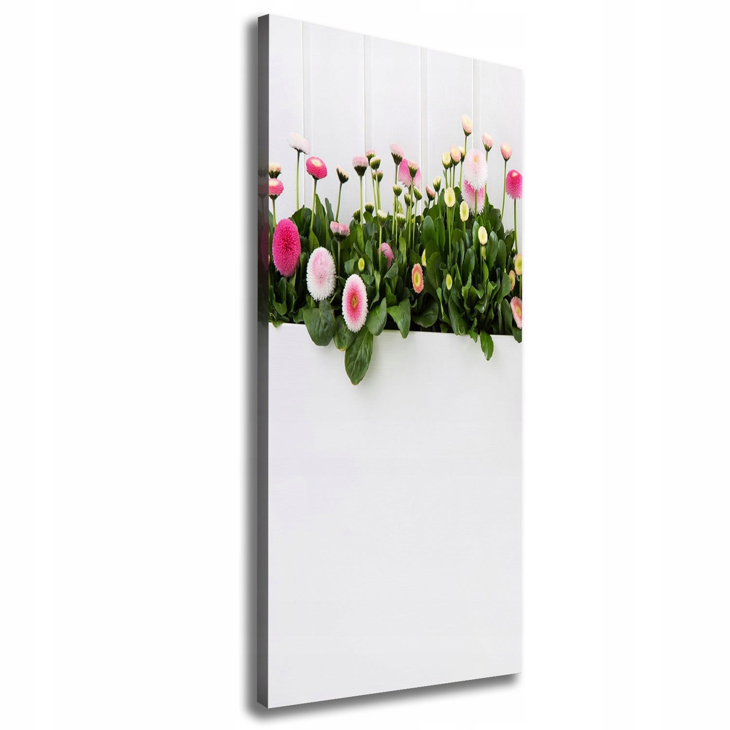

Foto obraz na płótnie Różowe stokrotki 50x125 cm