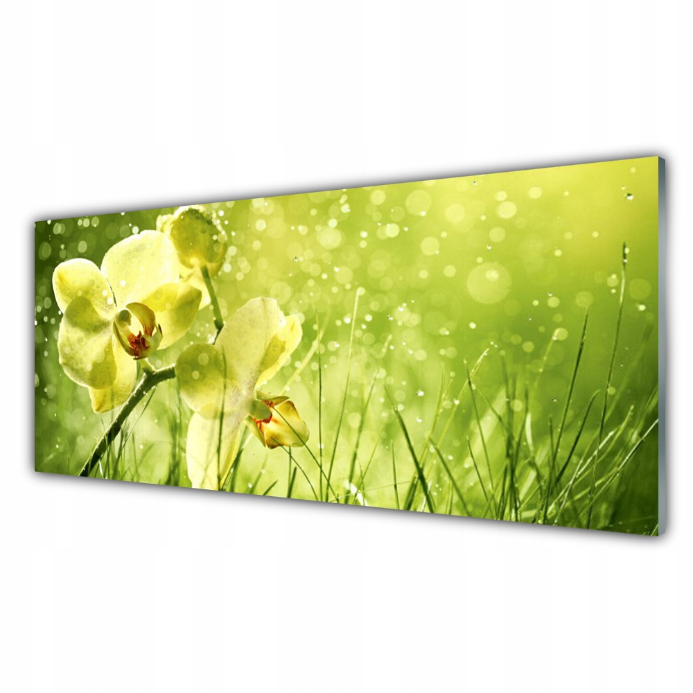 

Fotoobraz na prezent 125x50 Trawa Natura Roślina