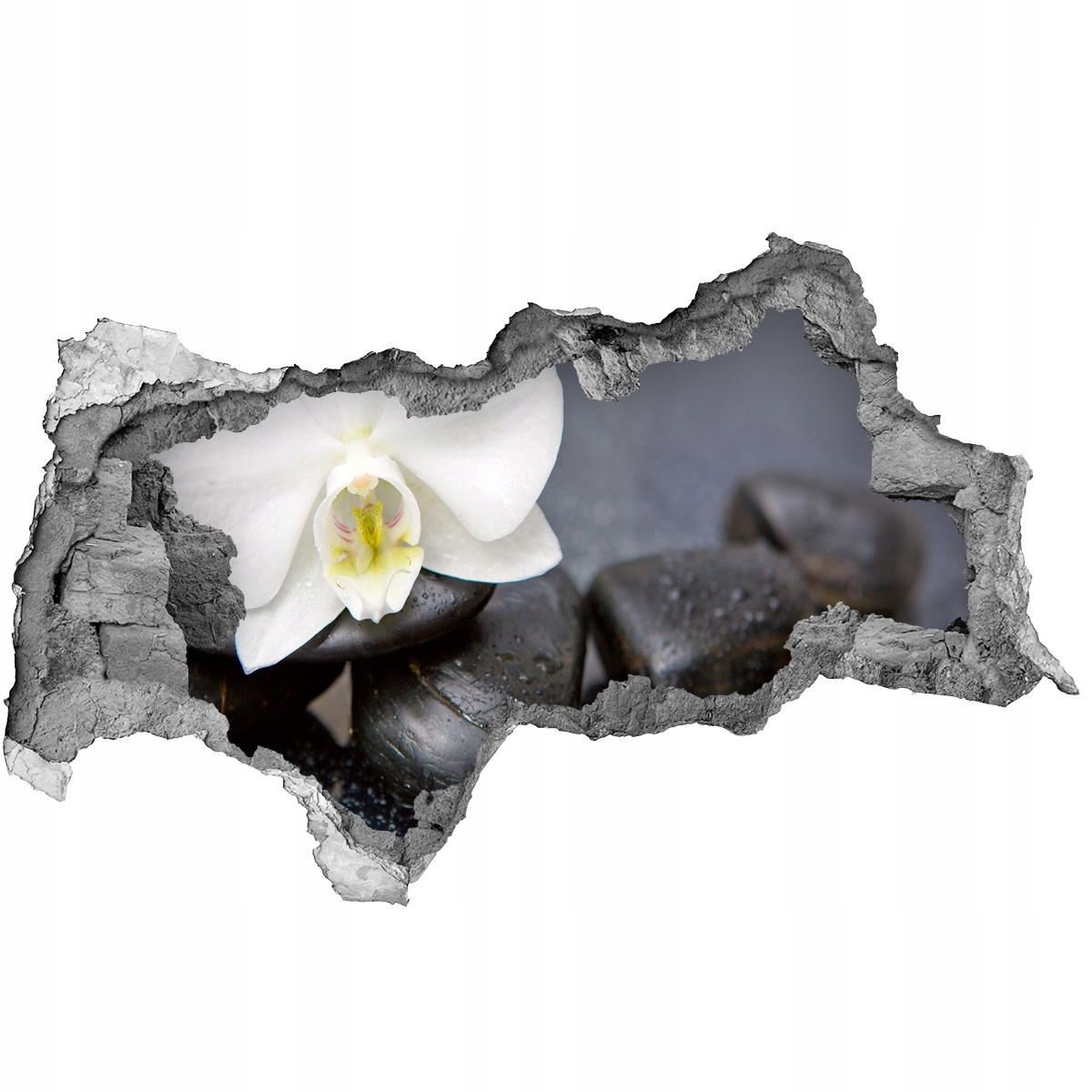 

Samoprzylepna Naklejka fototapeta Orchidea 95x73
