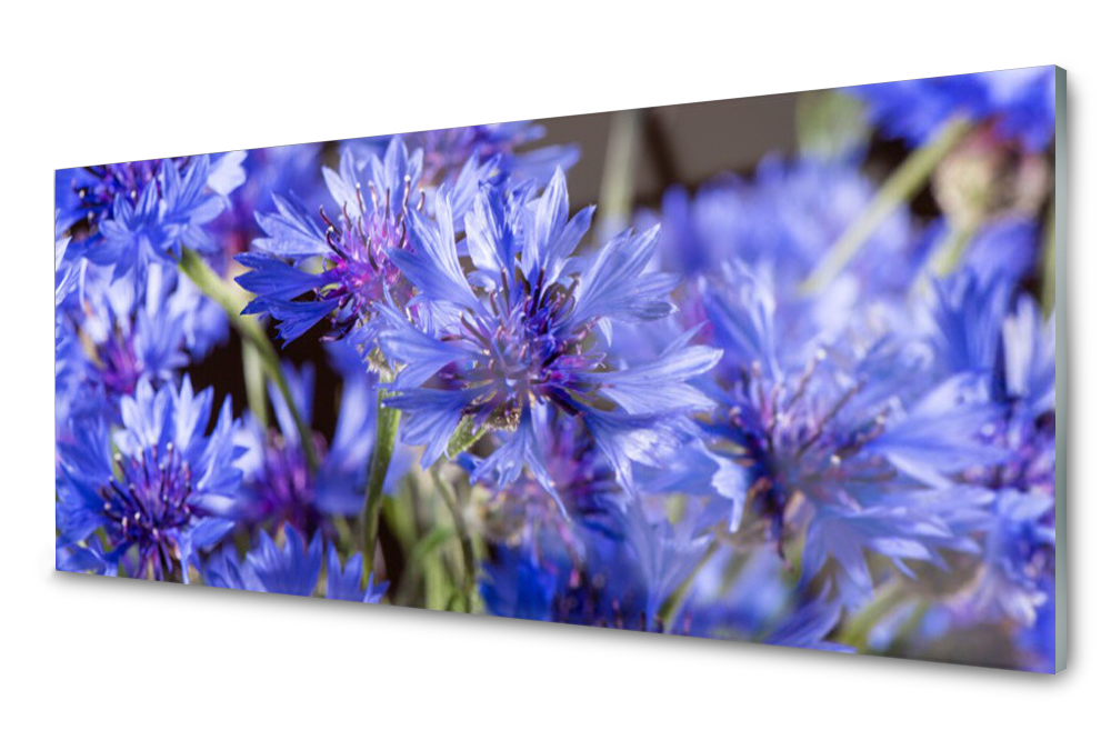 Sklenený panel do kuchyne Kvety Rastlina 125x50