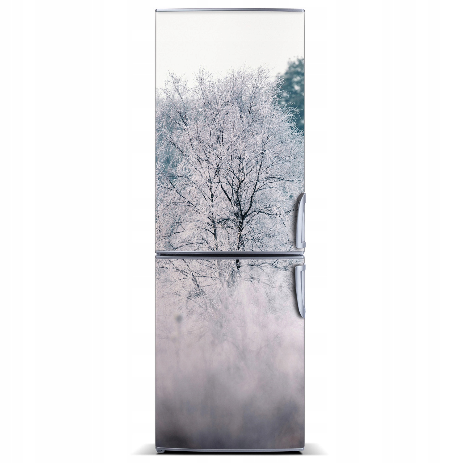 

Magnes na lodówkę magnetyczna Las zimą 60x180