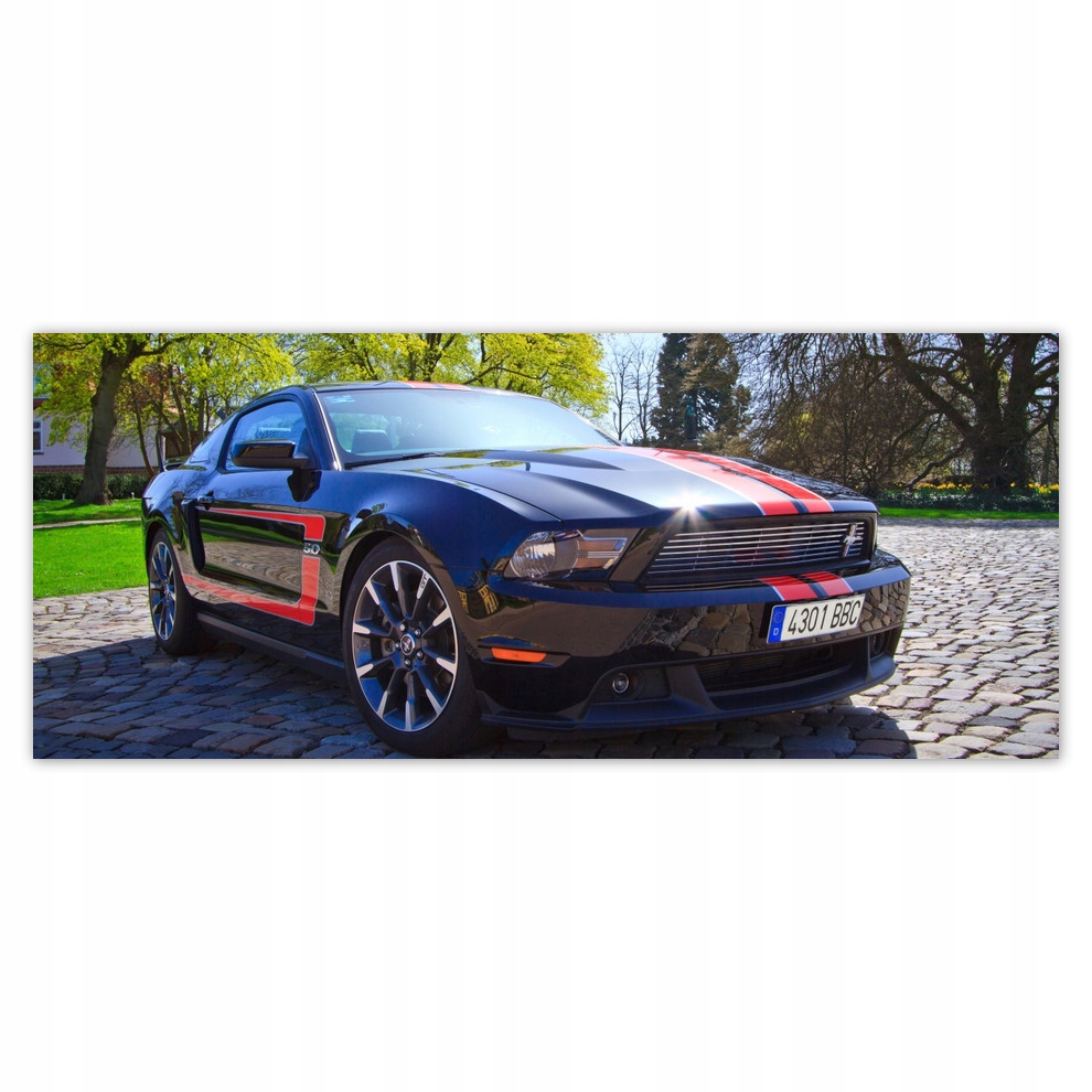 

Fototapety flizelina 250x104 Ford Mustang Samochód
