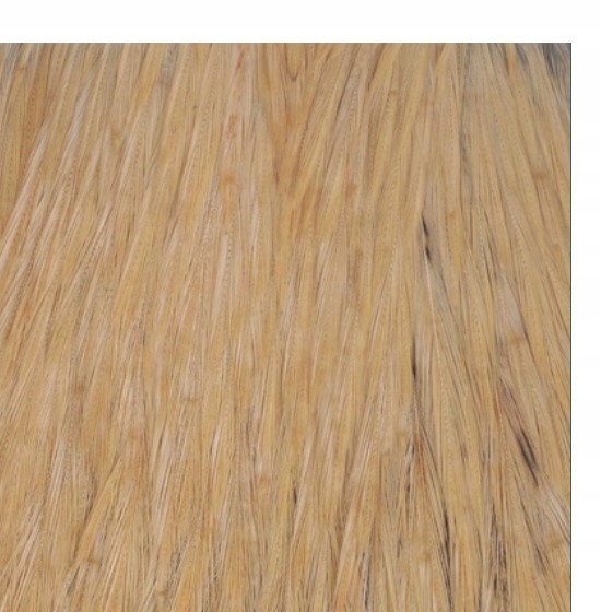 FFGene India Cock Cape Class Aa Cream