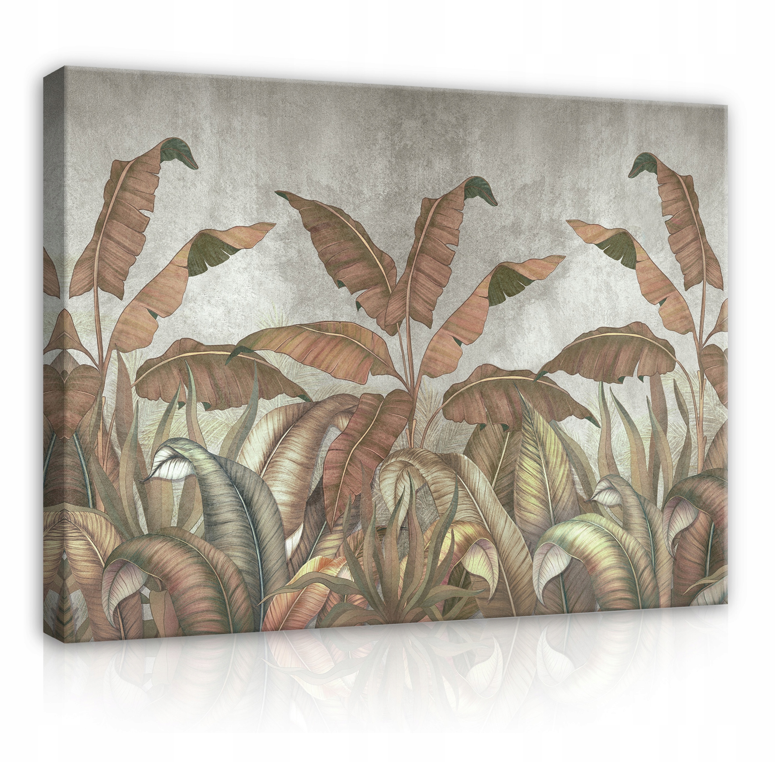 Moderní obraz Tropické Listy Velký 100x70