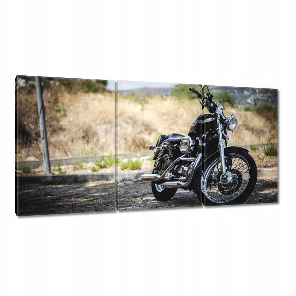 

Obrazy 120x60 Motocykl Klasyk Motor