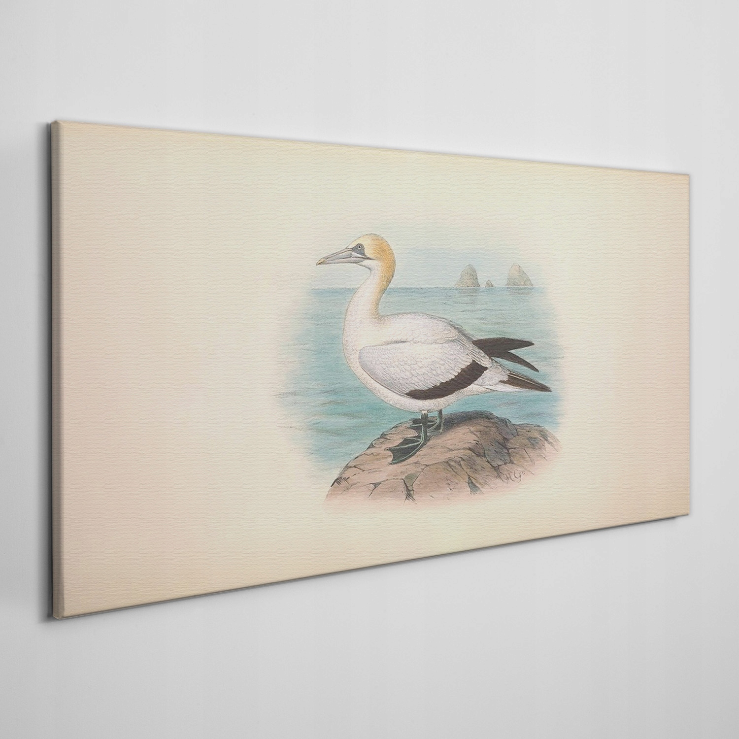 

Obraz na płótnie Ptaki zwierzęta rysunek 100x50 cm