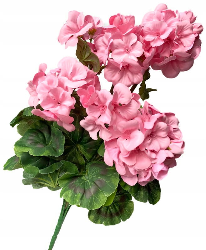 

Bukiet Różowa Pelargonia 47 cm sztuczne kwiaty