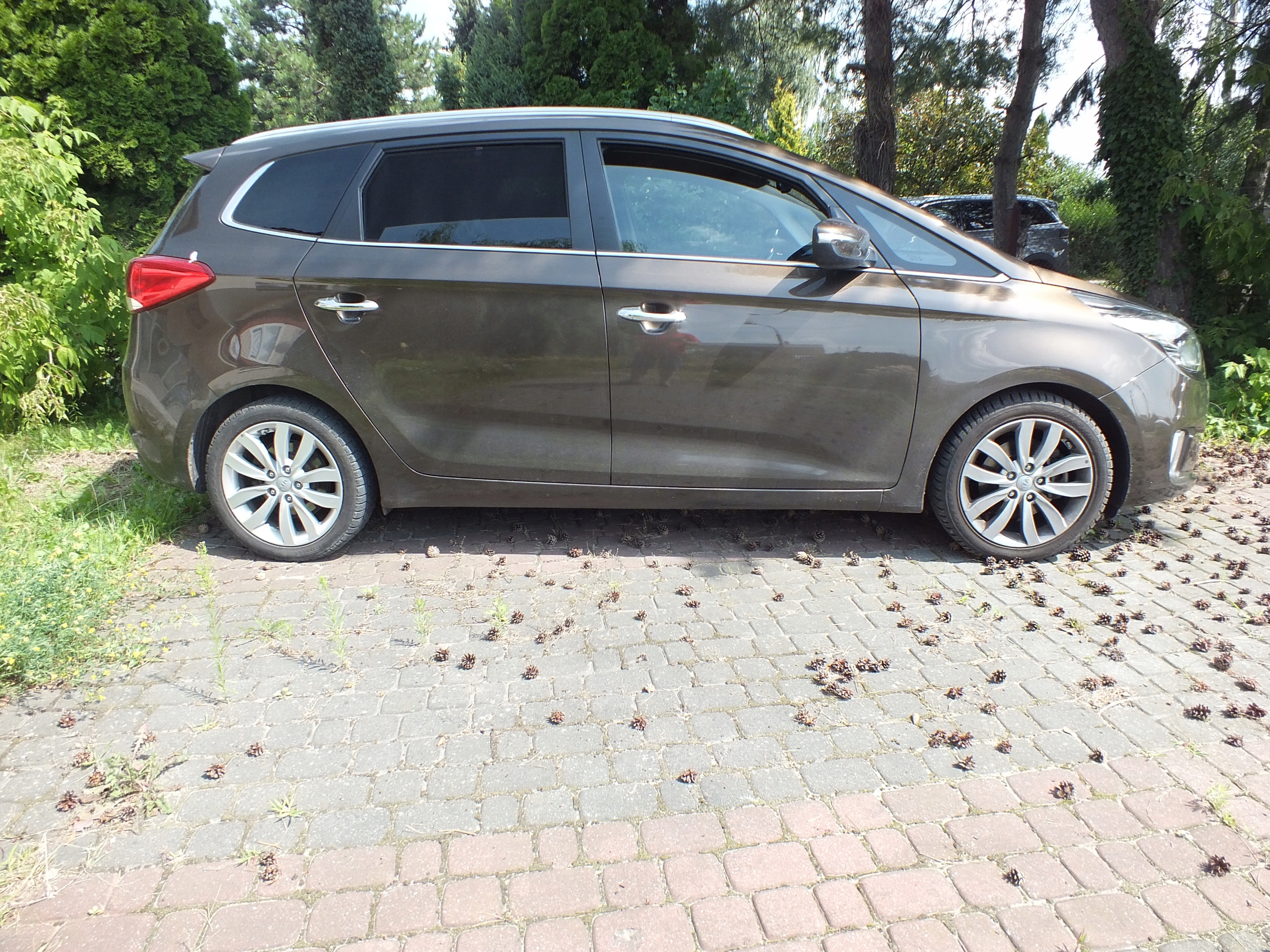 7d339e9b428c9e349923176ea383