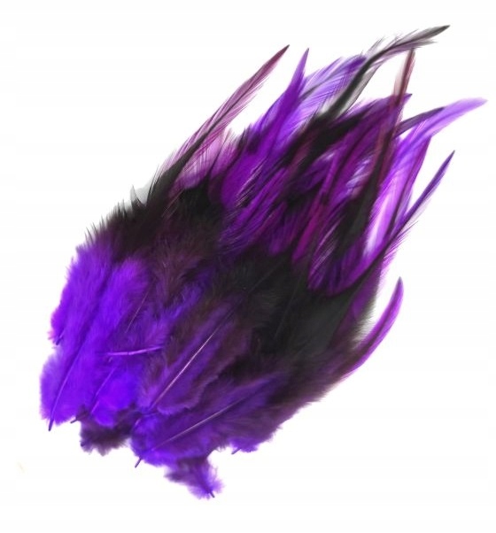 Pióra siodłowe ROOSTER 8-15 cm FIOLETOWY 50szt /1508