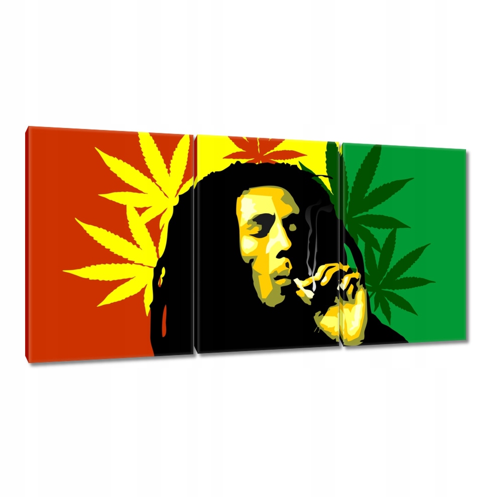 

Obrazy 120x60 Rastaman