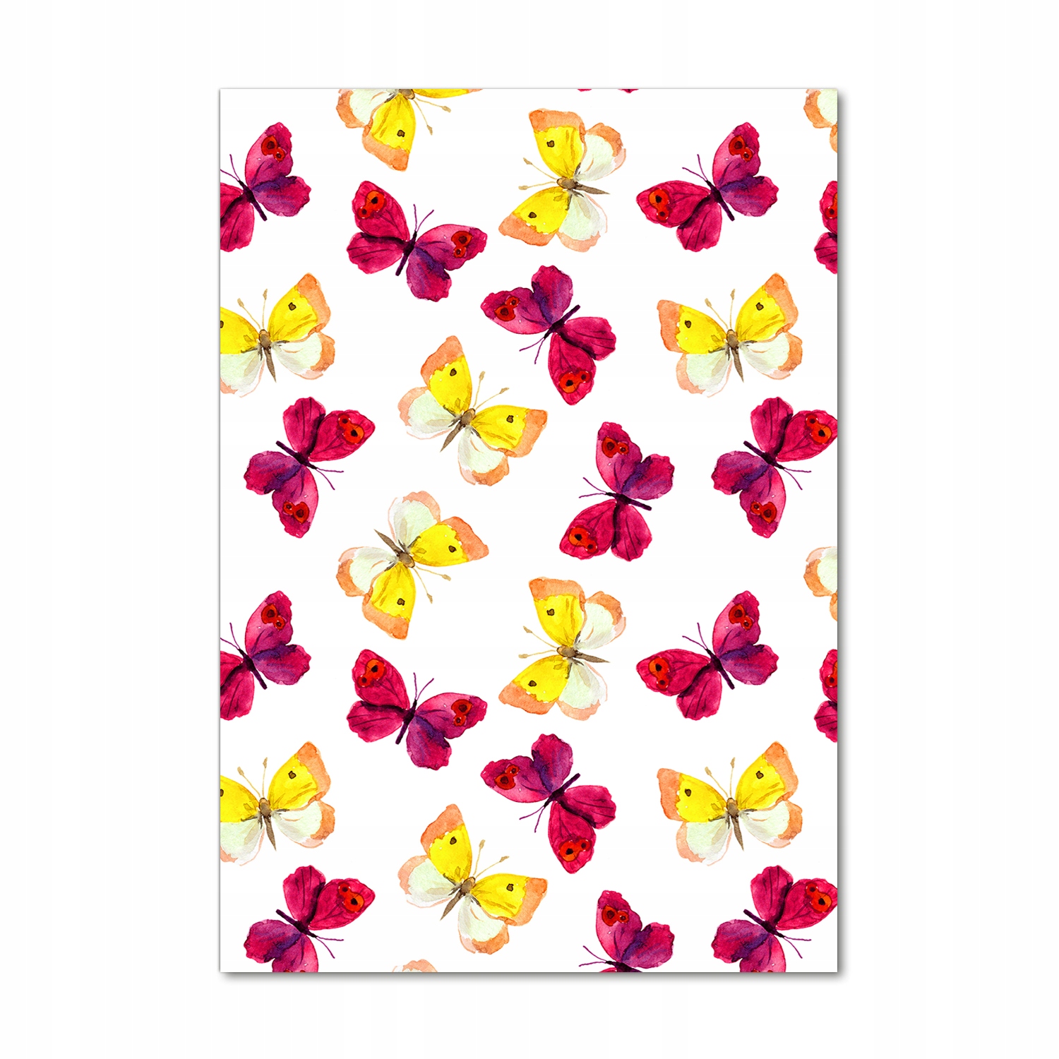 

Foto obraz szkło akrylowe Kolorowe motyle 70x100cm