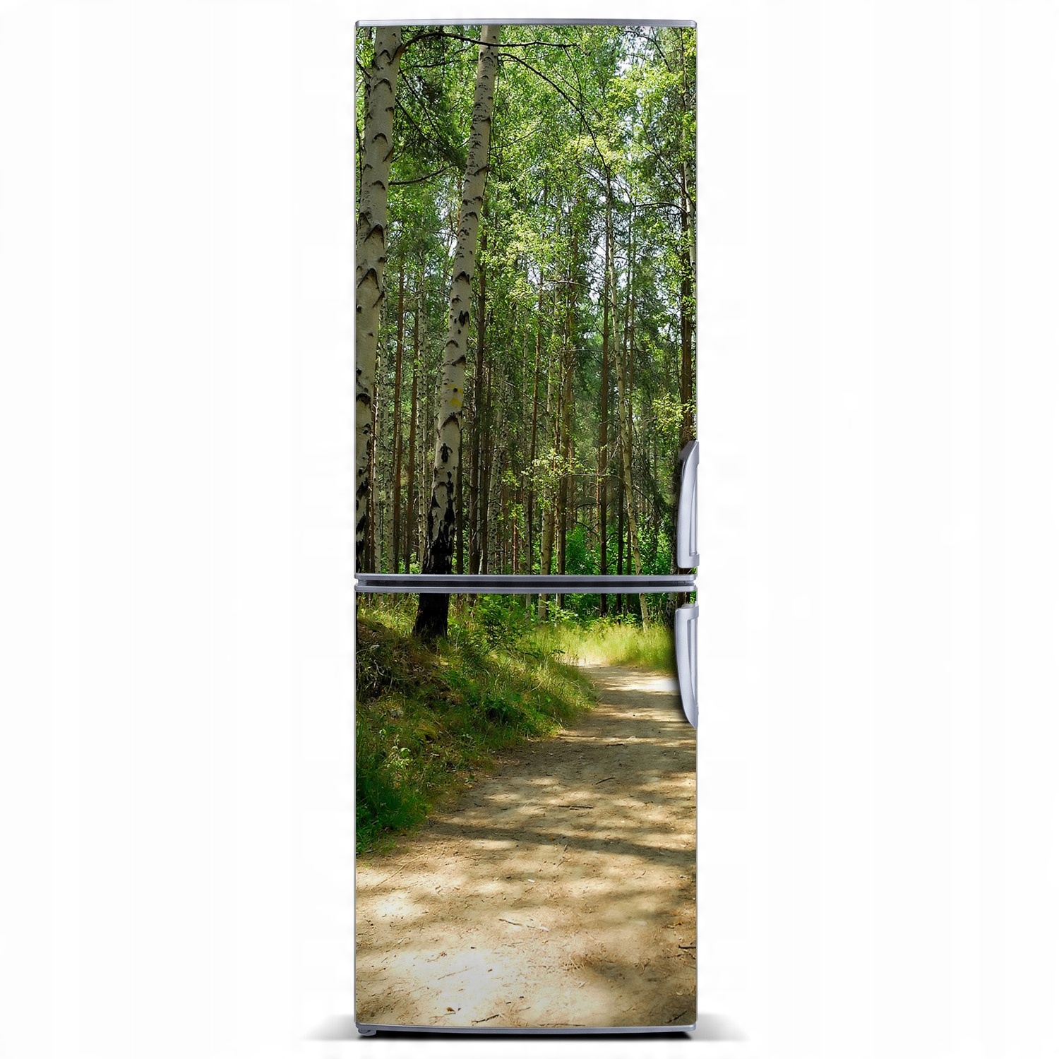 

Magnes fototapeta na lodówkę Las brzozowy 60x180