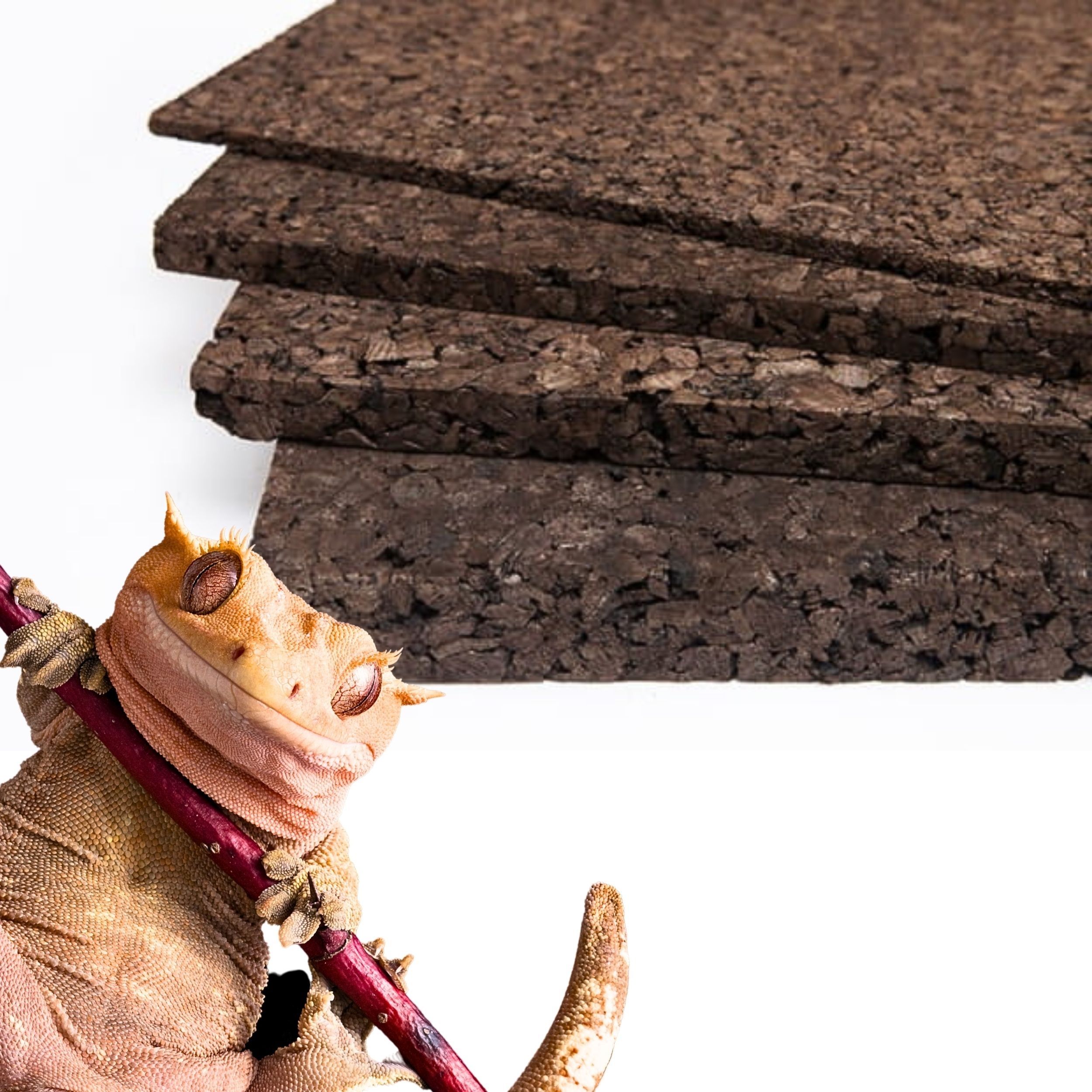 Levně BioCork Dark Background 100x50x2 cm tmavé expandované pozadí