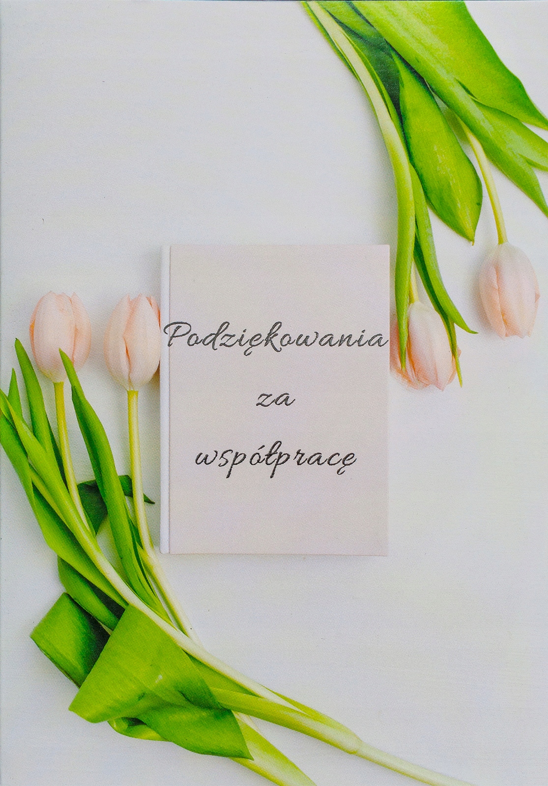 

Kartka Podziękowanie za współpracę pastelowa TS74