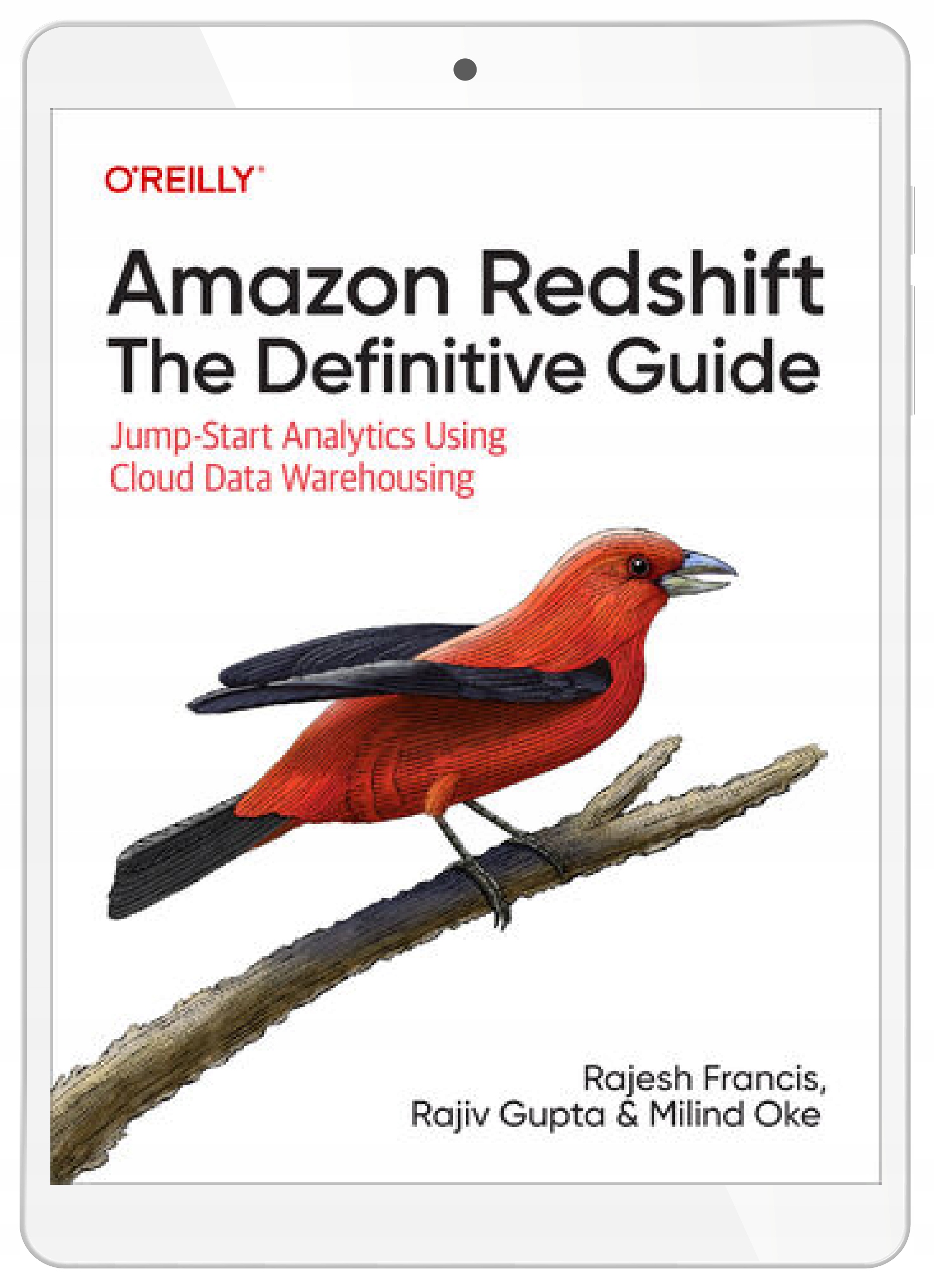 Amazon Redshift: The Definitive Guide
