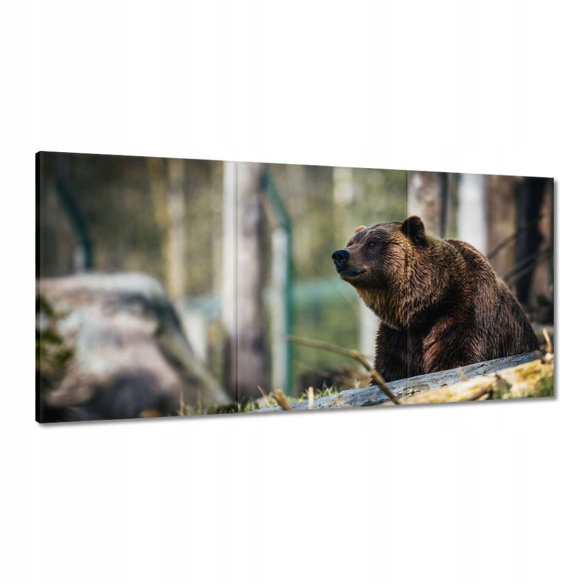 Obrazy 120x60 Zvířata Zvířátka