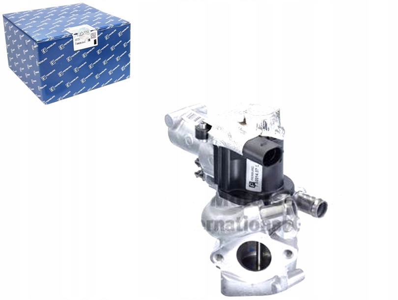 Ventil Egr Pierburg 1471000Q0P 1471000Q0S 820093913