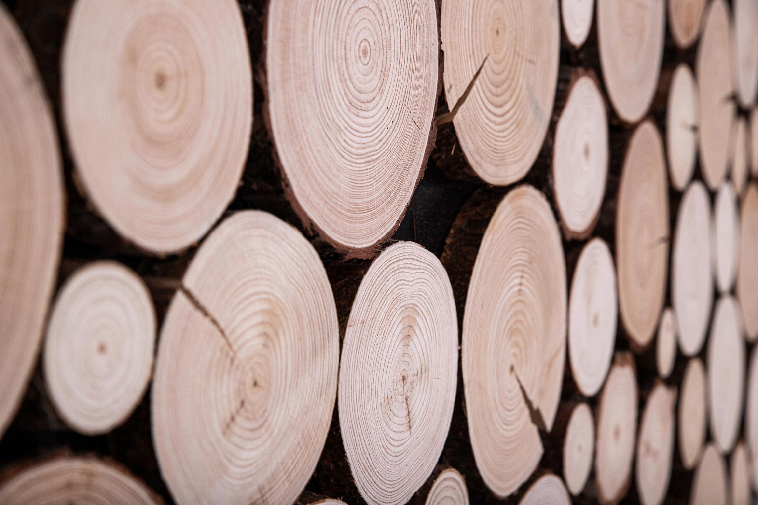 PANELE DEKORACYJNE AŻUROWE, PLASTRY SOSNOWE 4SZT Zastosowanie dekoracja ściany