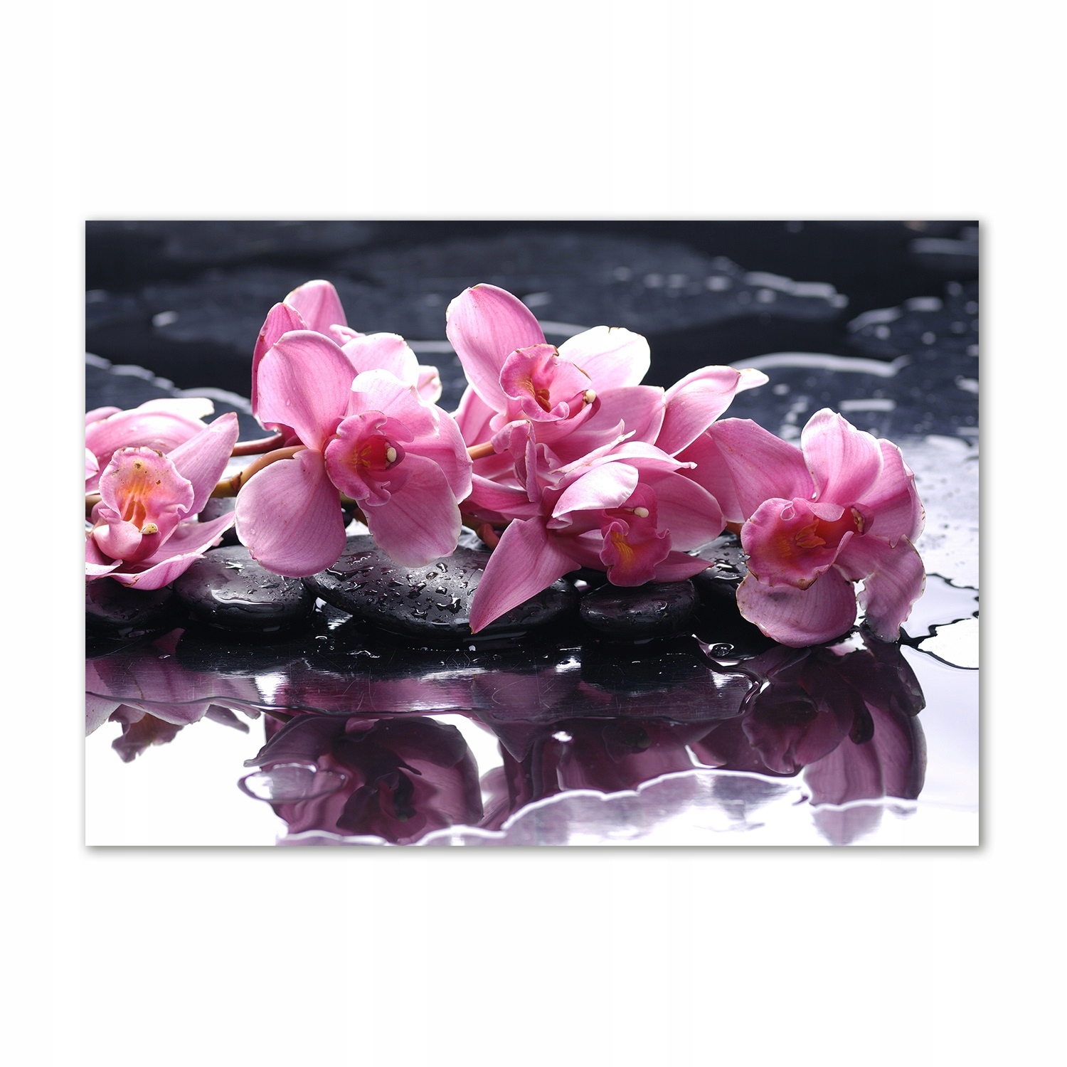 Fotoobraz na zeď skleněný Růžová orchidej 100x70