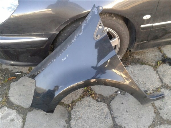 КРЫЛО ПЕРЕДНЕЕ ЛЕВОЕ RENAULT CLIO III NV676