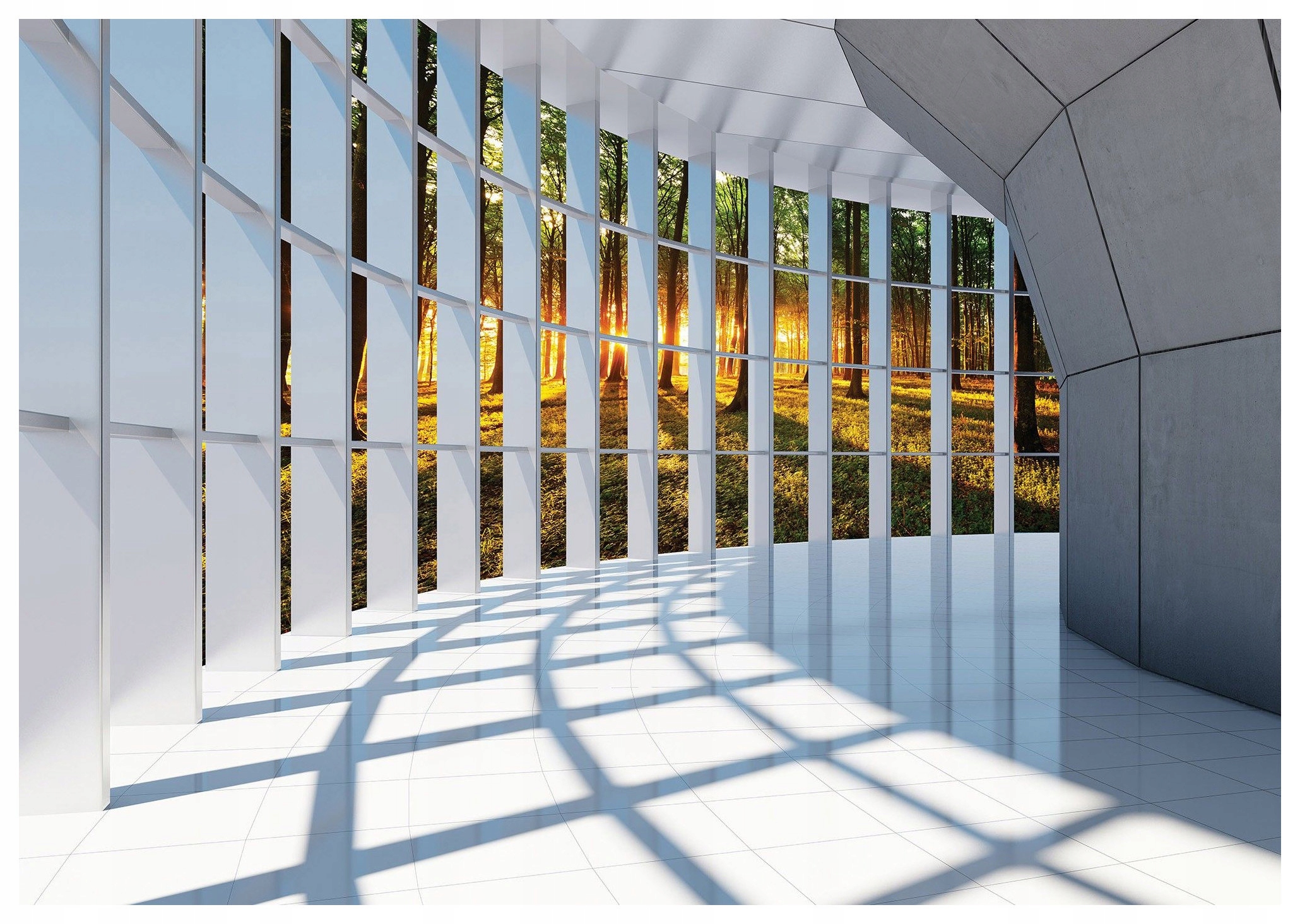 Tapeta Les Svetlo Tiene Perspektíva Príroda Okno moderné 350x250 lepidlo