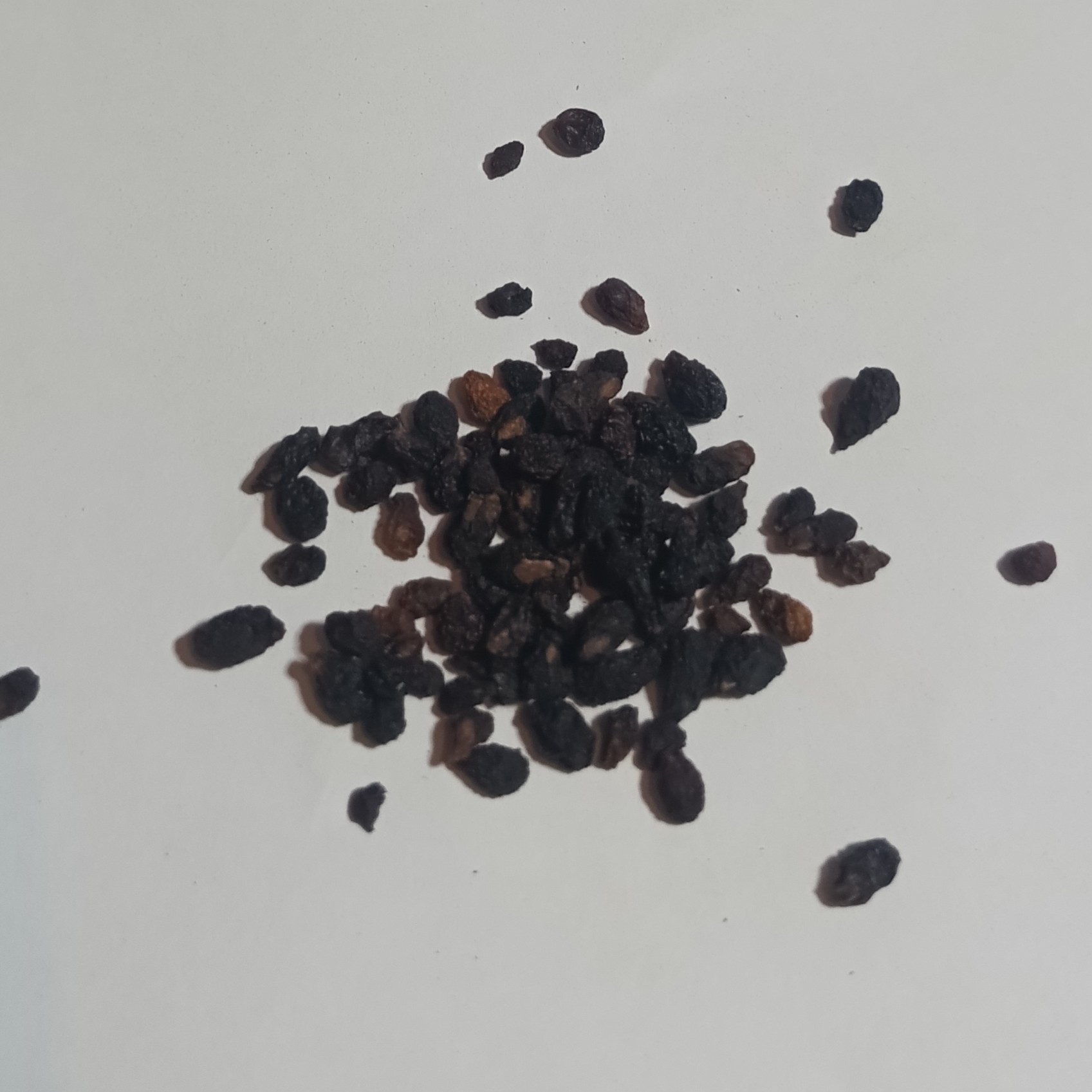 Levně Pepř Patagonský 1 kg Rafex