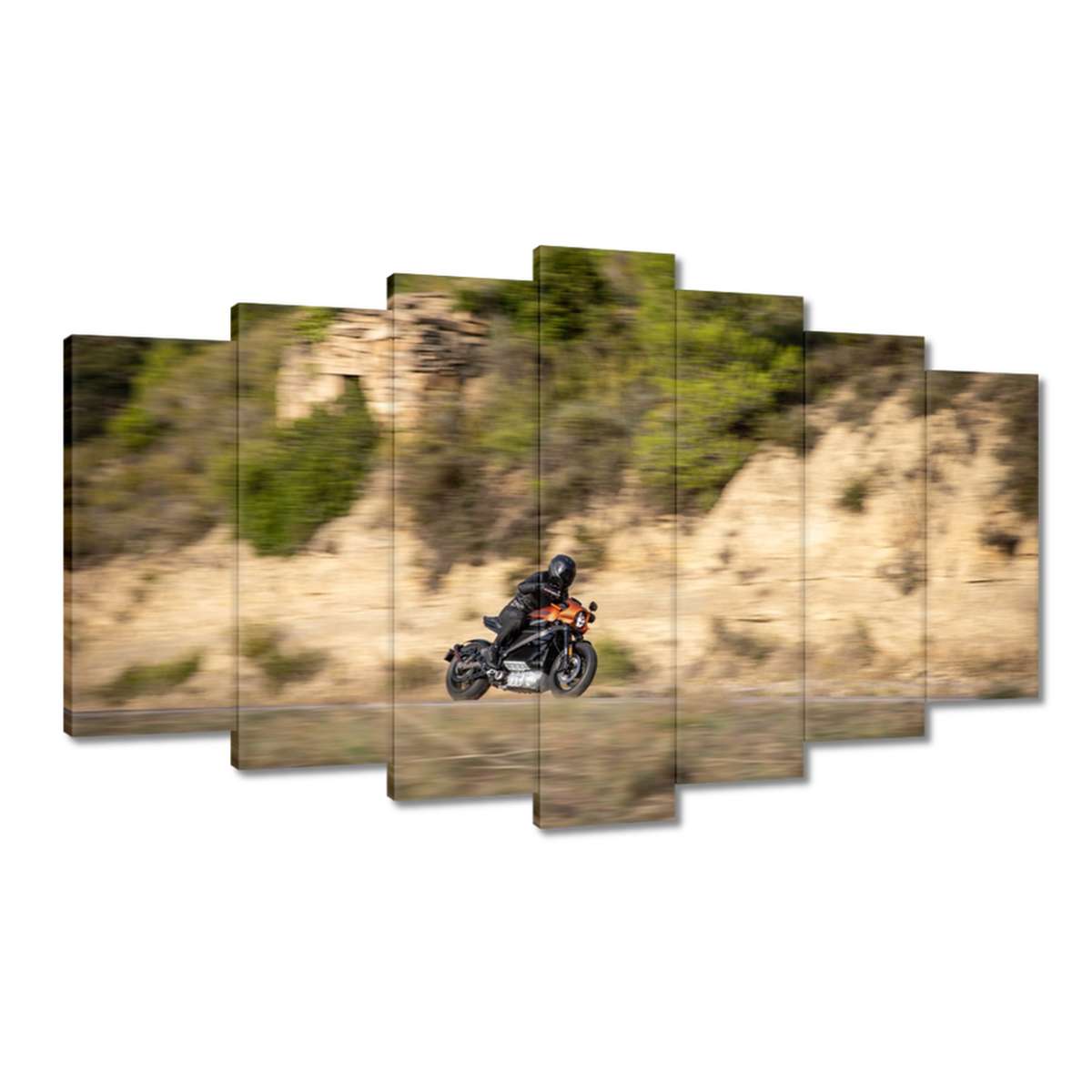 Obrazy 140x80 Harley Davidson Motocykl