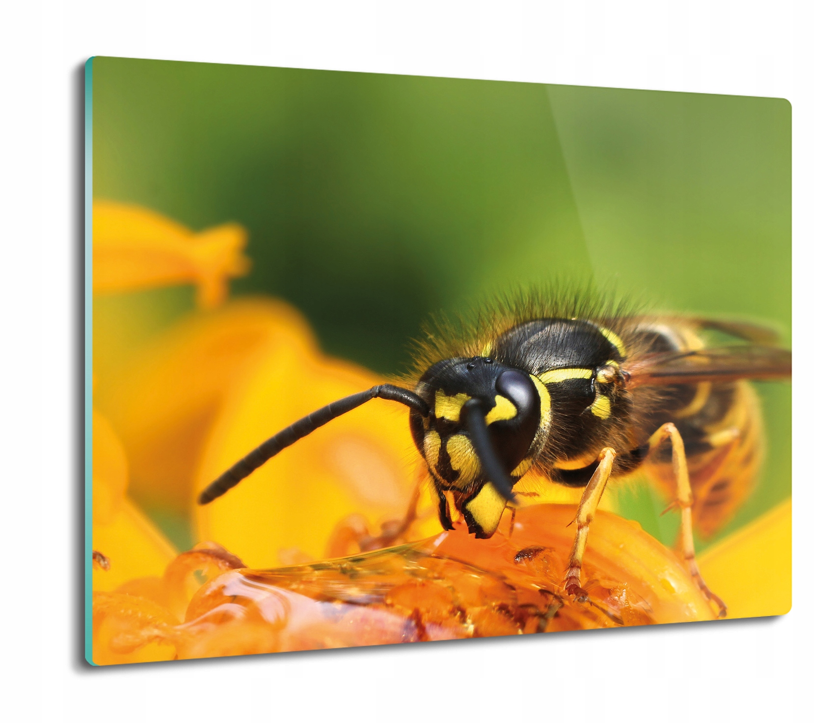 

Pszczoła kwiat 60x52 deska podkładka szklana