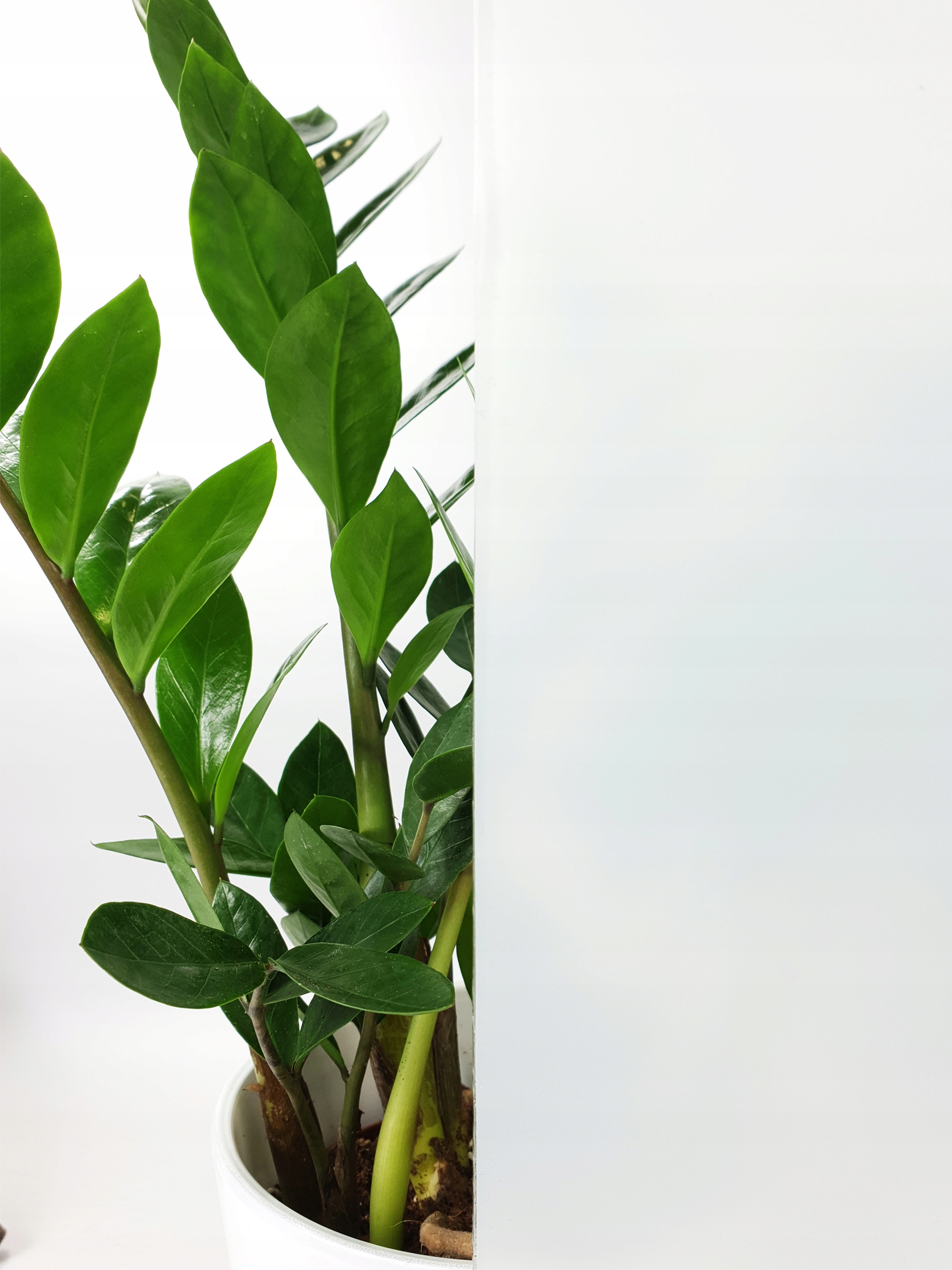 

Folia Okienna Statyczna Witraż Mleczna 90X50 G22