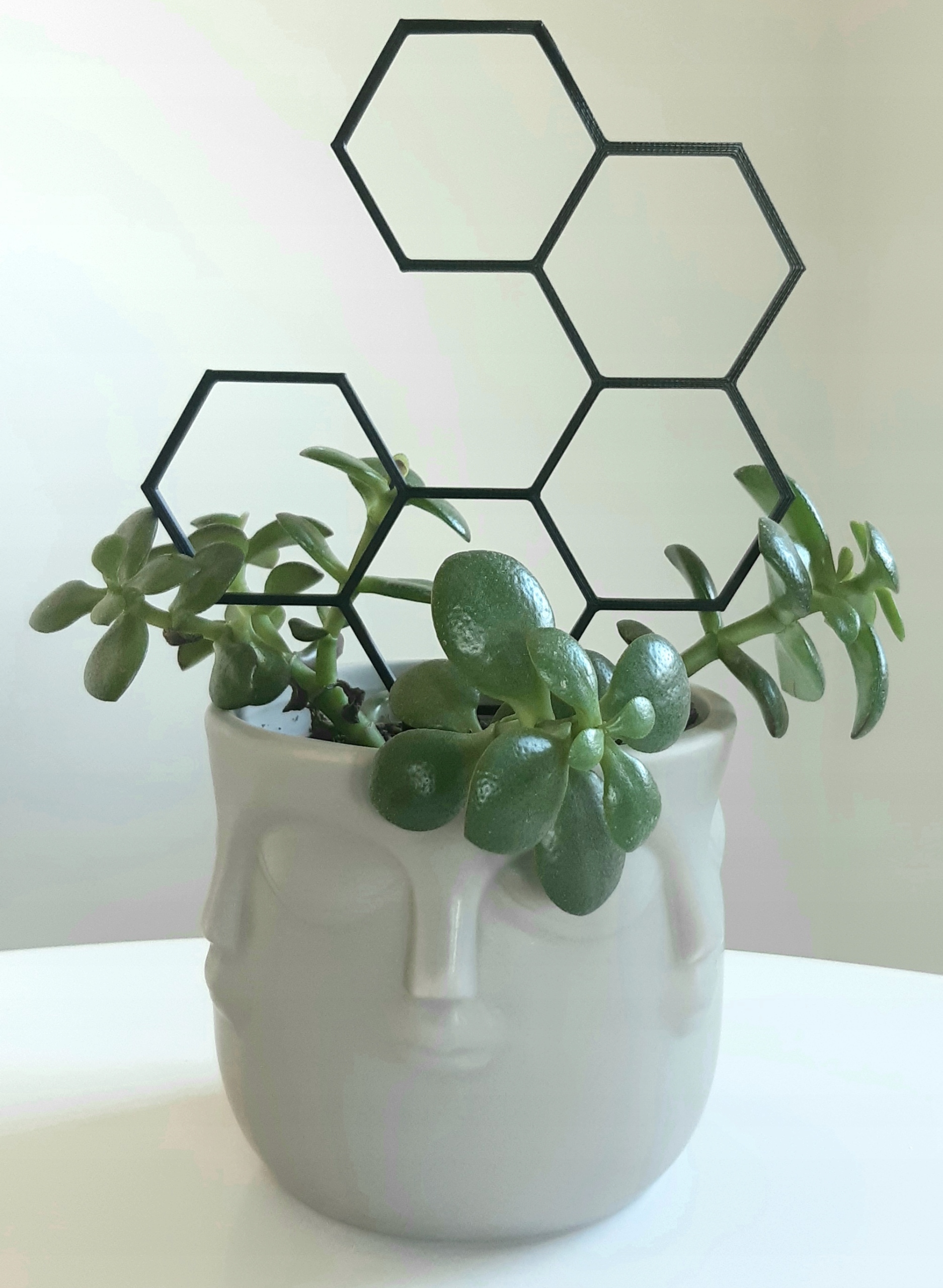 PODPÓRKA DRABINKA PERGOLA KWIATÓW ROŚLIN HEX 20 CM Kod producenta PODPÓRKA DRABINKA KWIATÓW HEX 20 CM