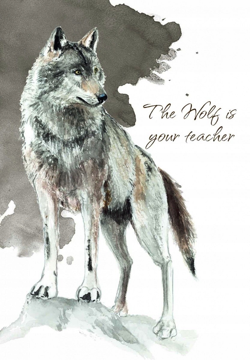 CARTAMUNDI Karty Tarot Power Animal Cards Maksymalna liczba graczy 1